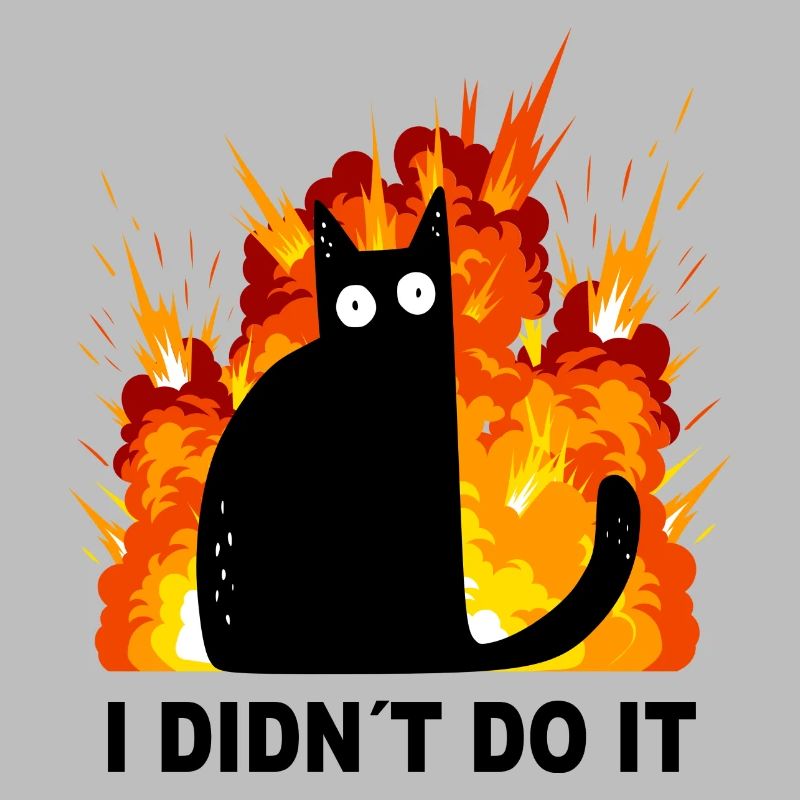 Cat I didn ́t do it Explosion Black Cat