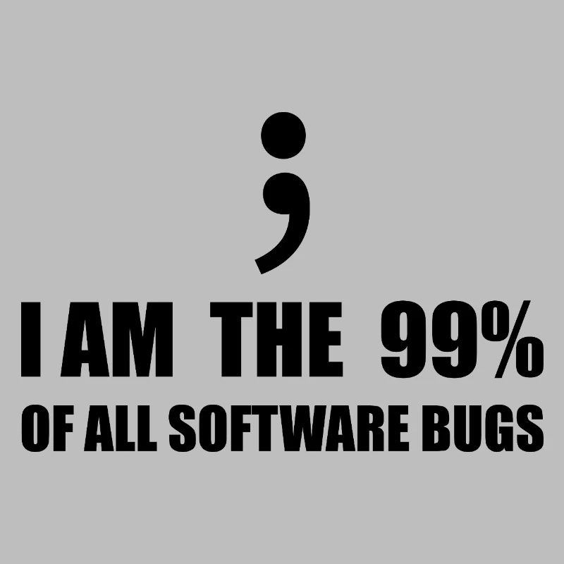 Informatiker, Programmierer