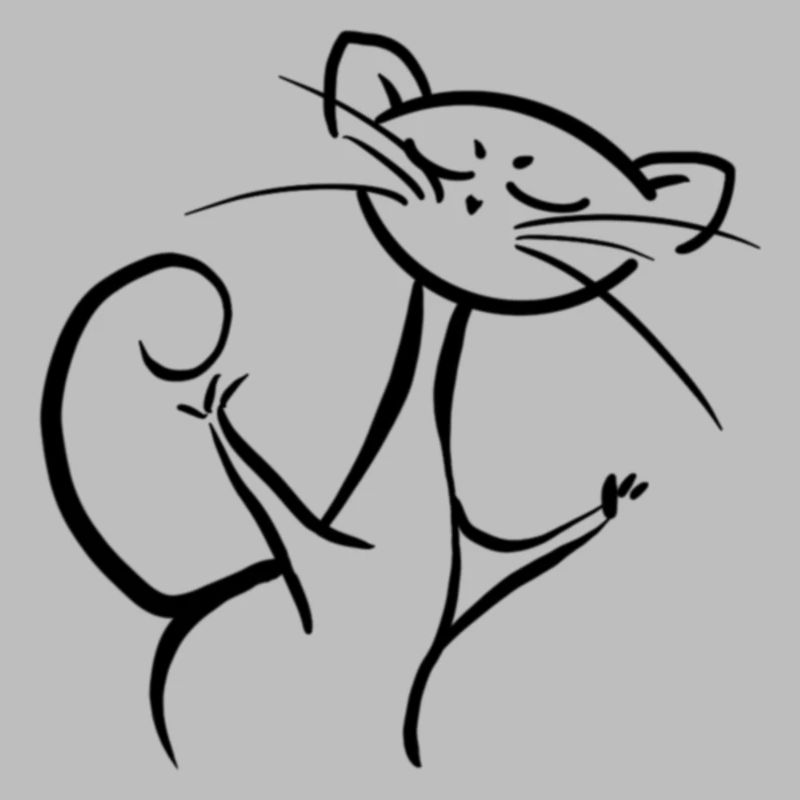 Ne plaisantez pas avec le chat