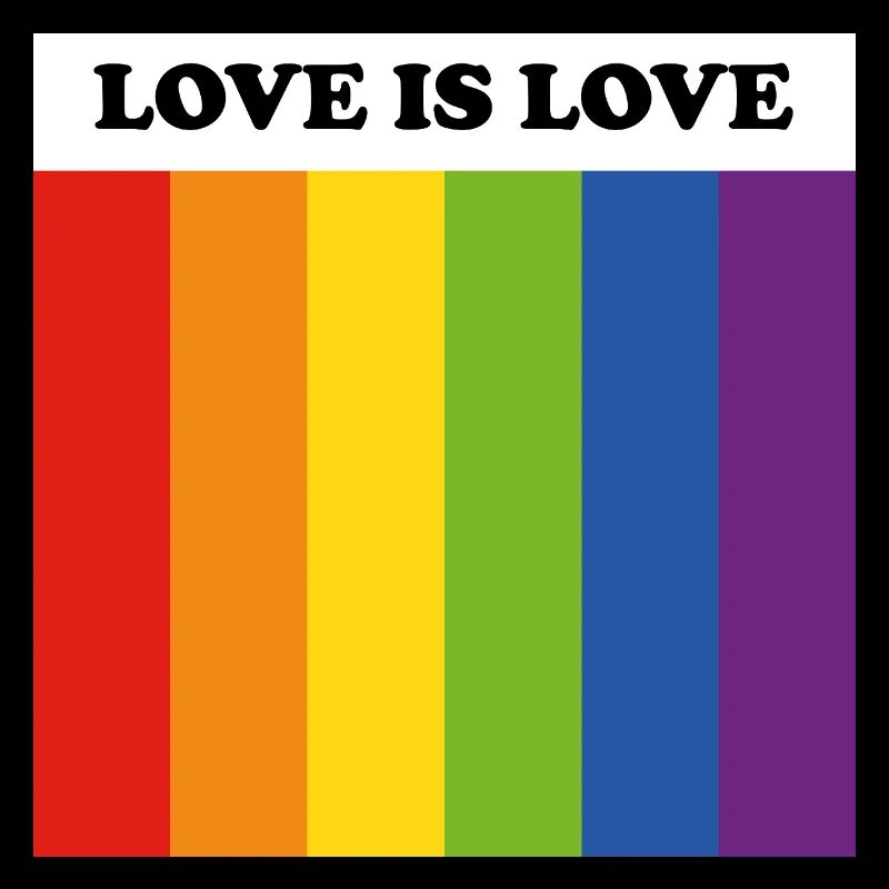 Drapeau LGBT LOVE IS LOVE