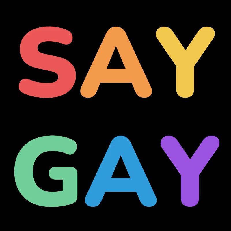 SAY GAY rainbow pride text