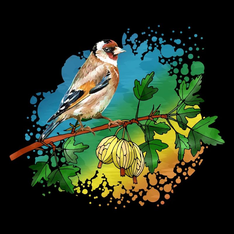 Oiseau coloré