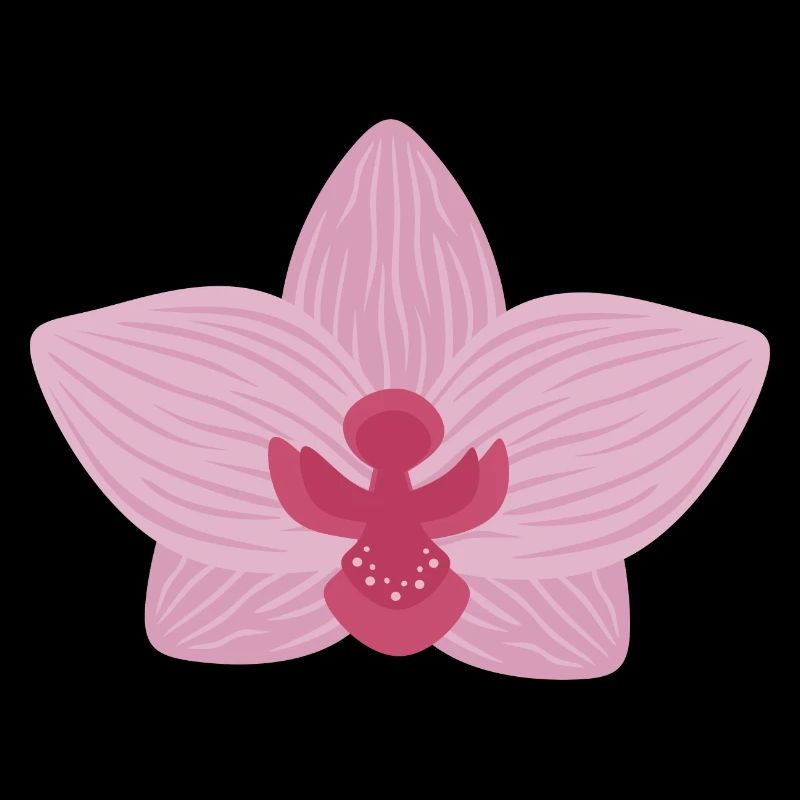 Orchidée lilas
