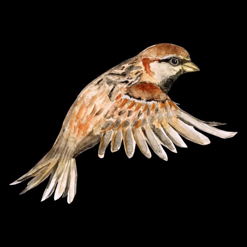 Flying sparrow