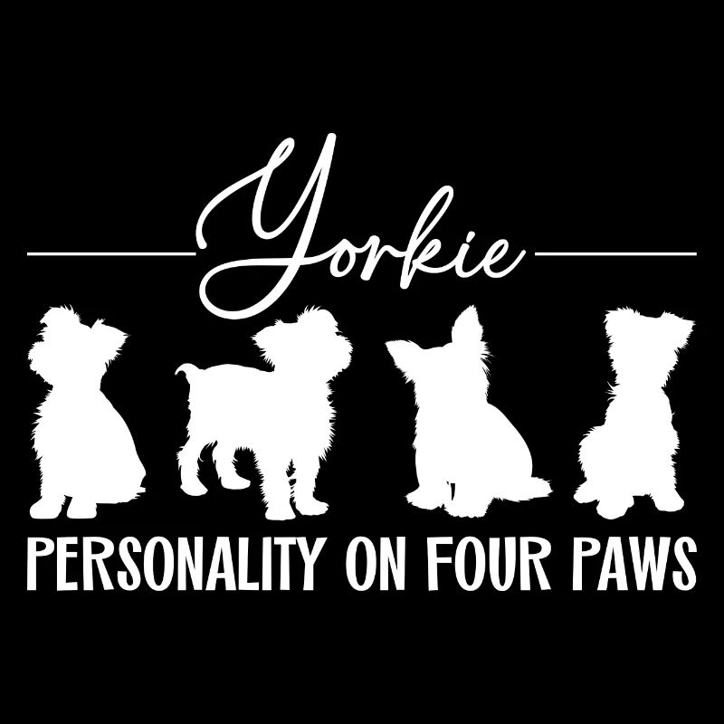 Yorkshire Terrier Persönlichkeit auf vier Pfoten.