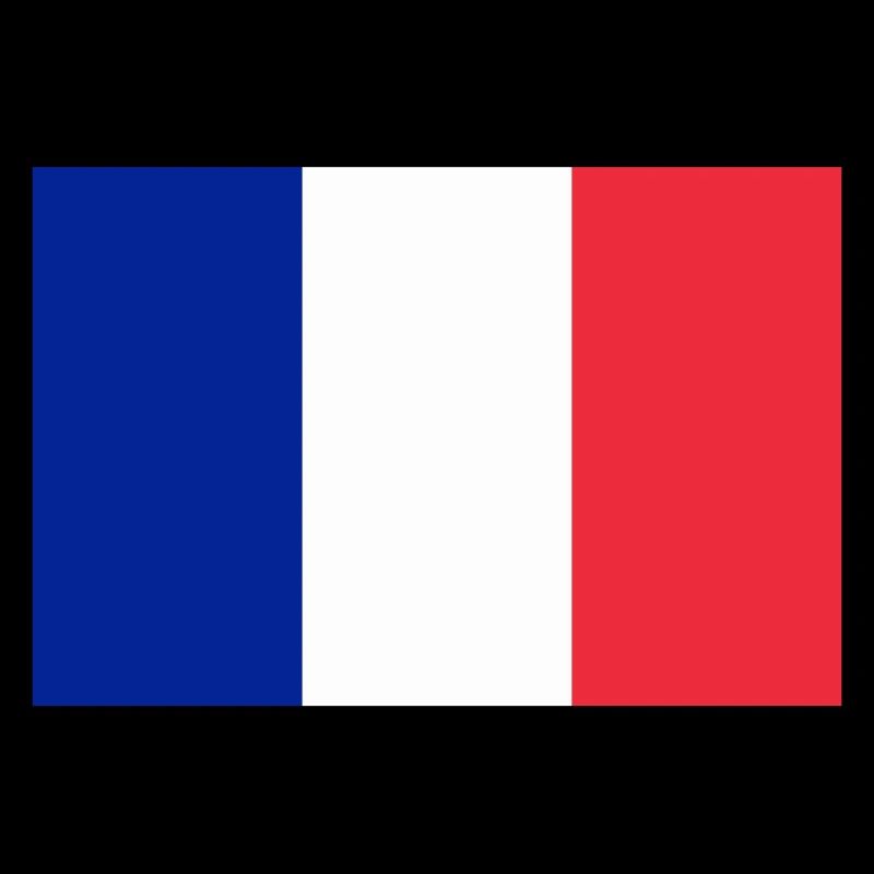 Drapeau français / French flag