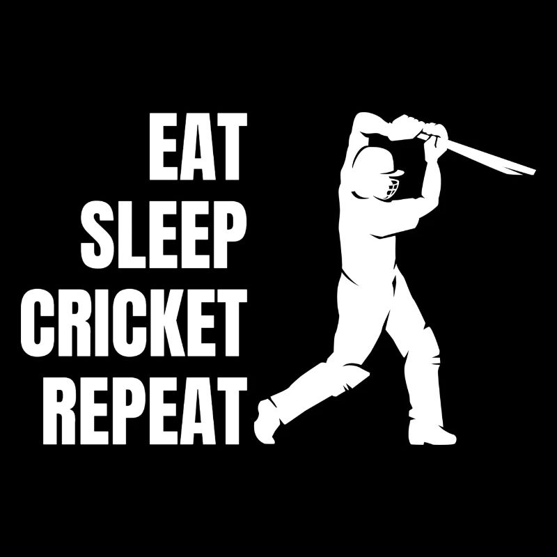 Équipe de cricket Équipe de cricket