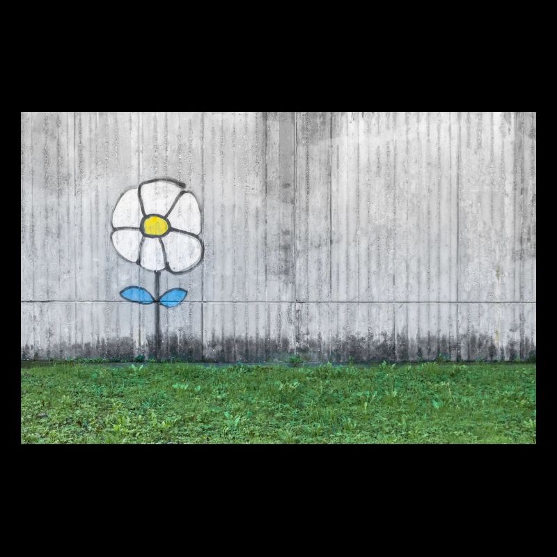 Graffiti eines Gänseblümchens