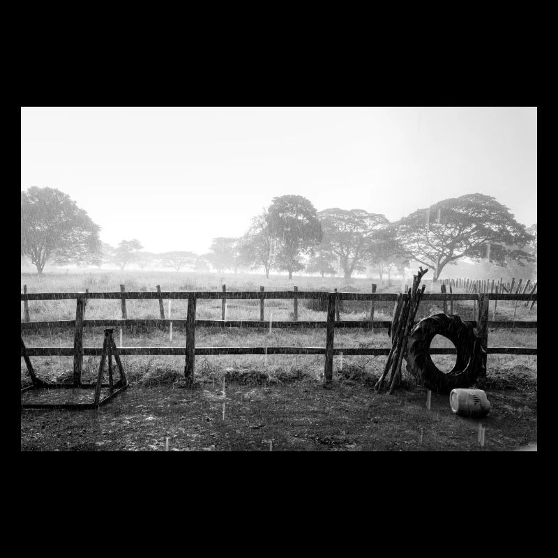 On the farm in the rain