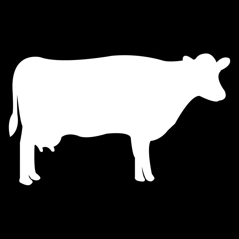 vache