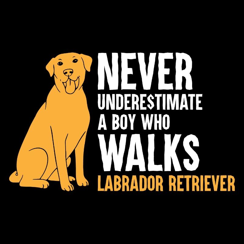 Never Underestimate A Boy Who Walks Labrador Retri