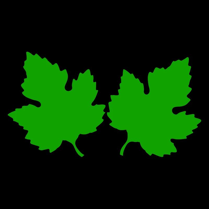 feuilles
