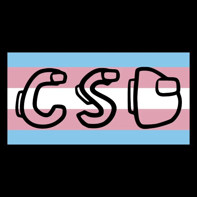 Drapeau de la fierté trans CSD