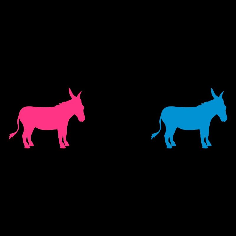 3 amis équipage partie rangée âne cheval poney petit p