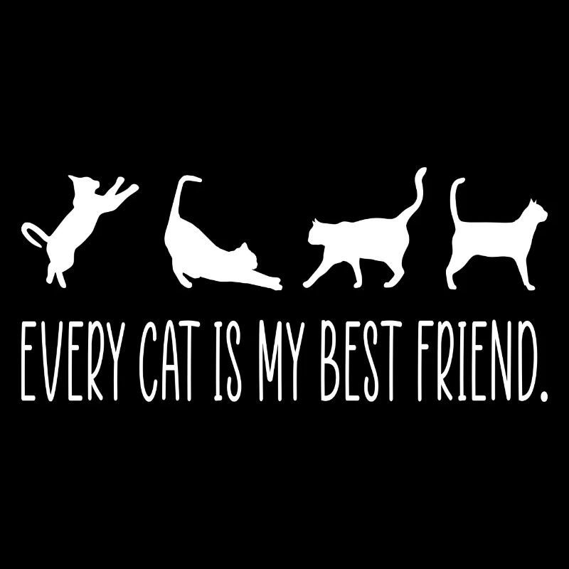 Cat Cats Cool Dicton