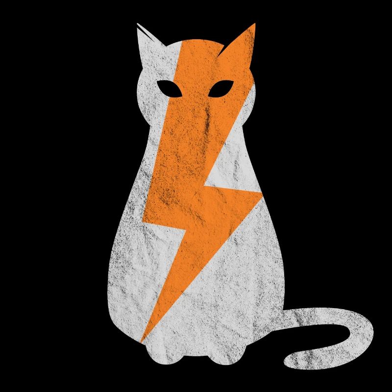 Cat lightning strike