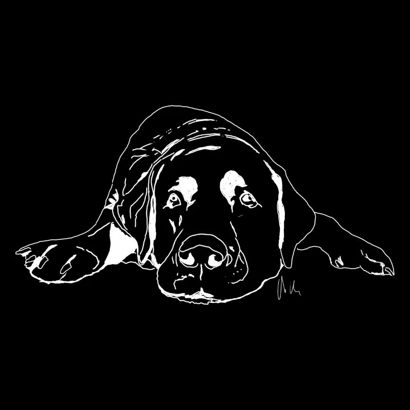 Labrador