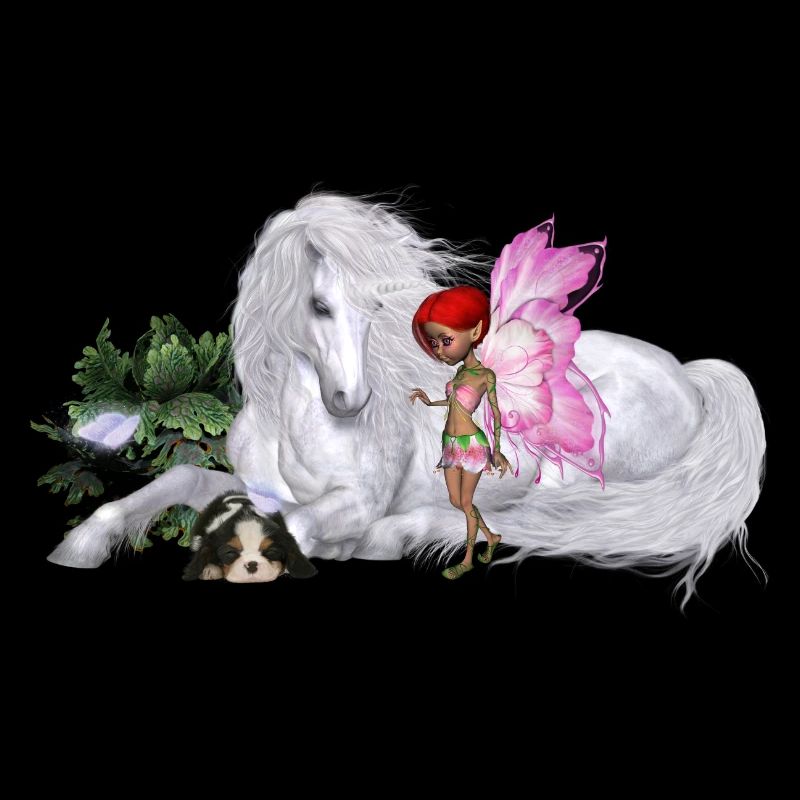 Merveilleuse licorne avec fée