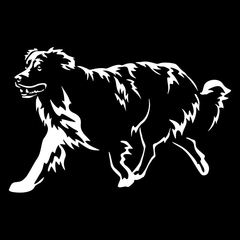Berger australien « Black Edition »