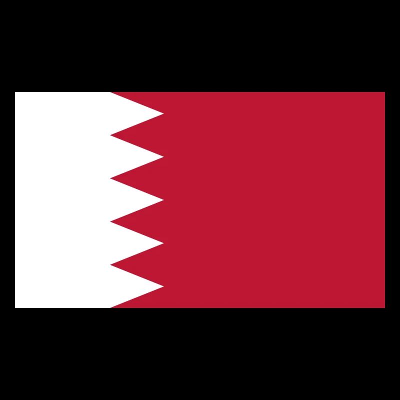 Qatar Flag Flag