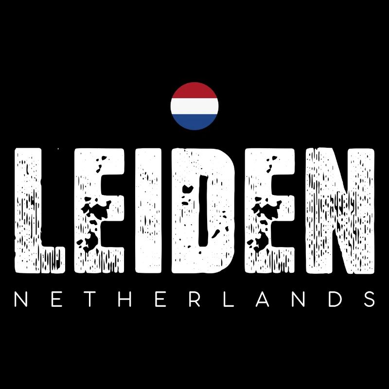 Impression en détresse de la ville de Leiden