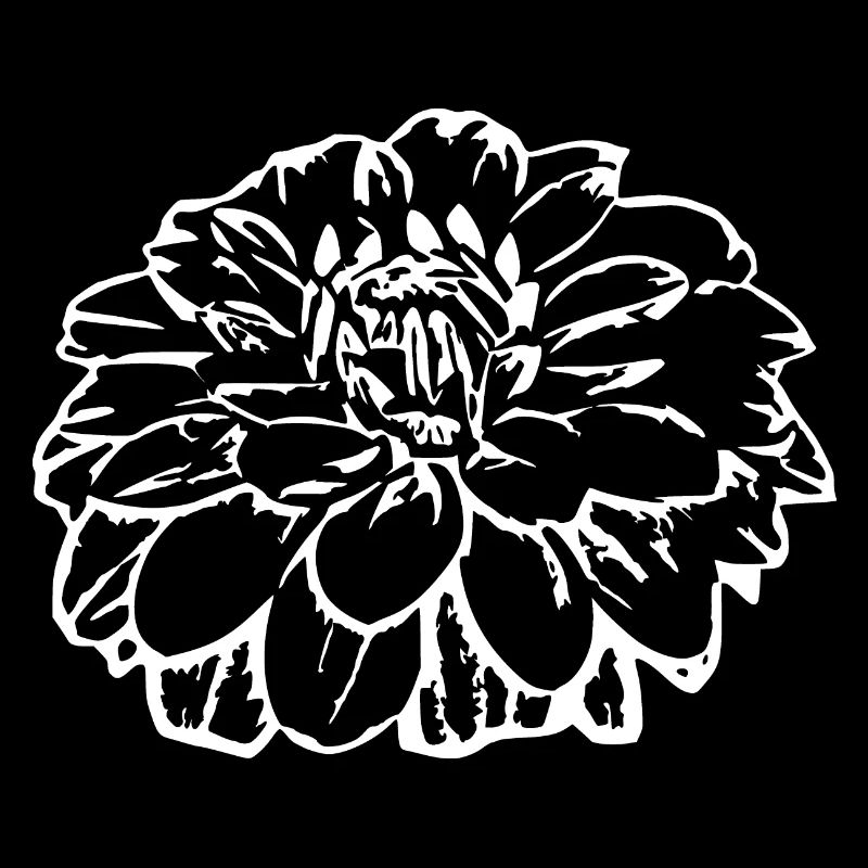 Fleur fleurs noires fleurs noires fleurs graphiques