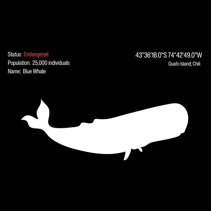 Whale