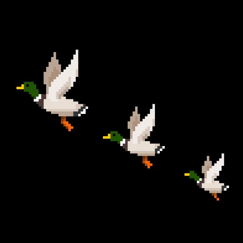 Flying Ducks
