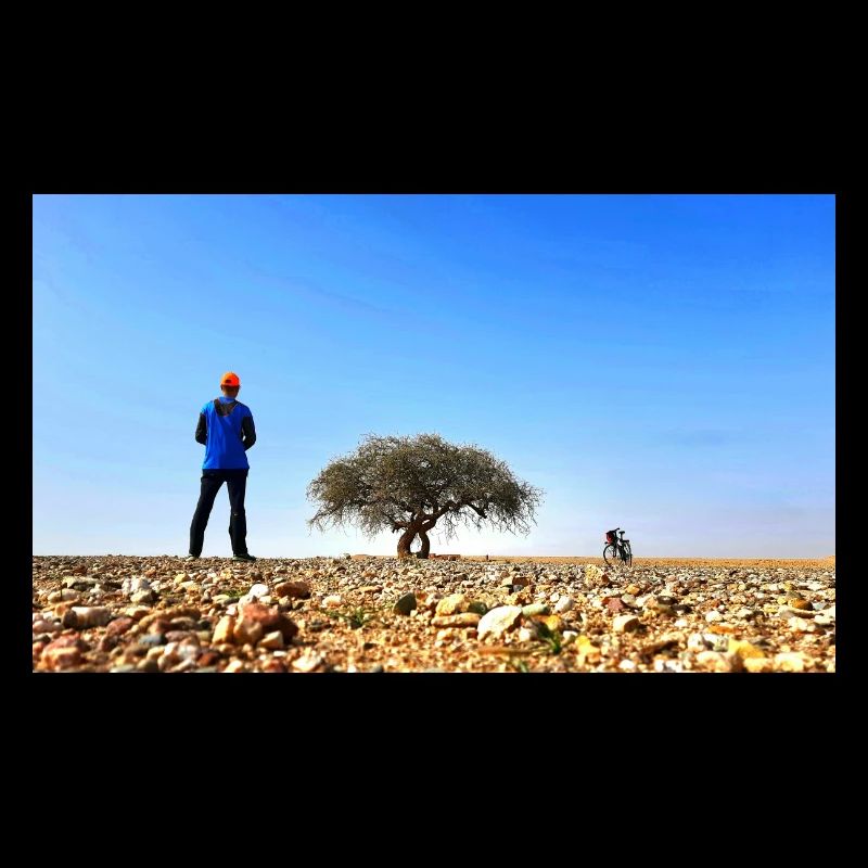Explorateur solitaire avec arbre et vélo