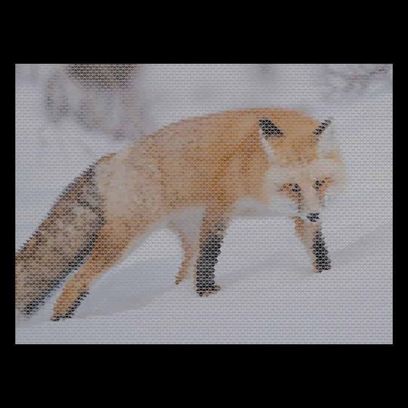 Geometrischer Fuchs