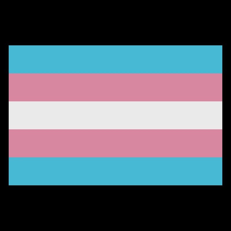 Drapeau trans