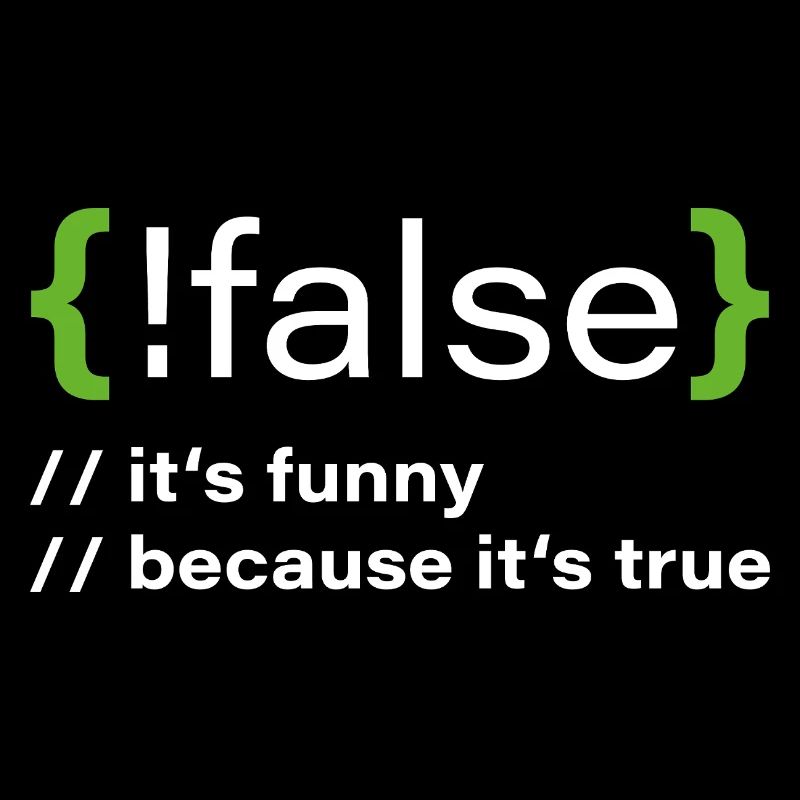 false – Funny programmer saying