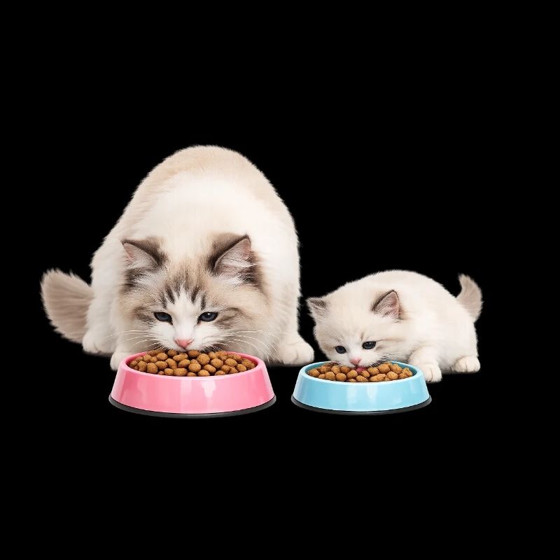 Maman chatte poupée de chiffon mange avec son chaton