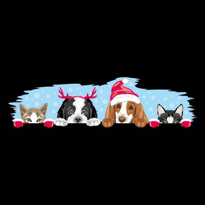 Regarder les chiens et les chats dans les accessoires de Noël