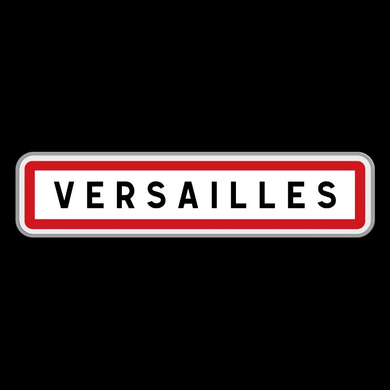 Panneau central de Versailles, Yvelines