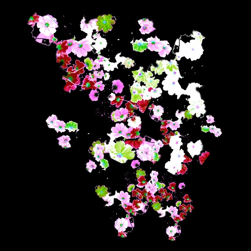 Pré, fleurs, fleurs, fleurs colorées