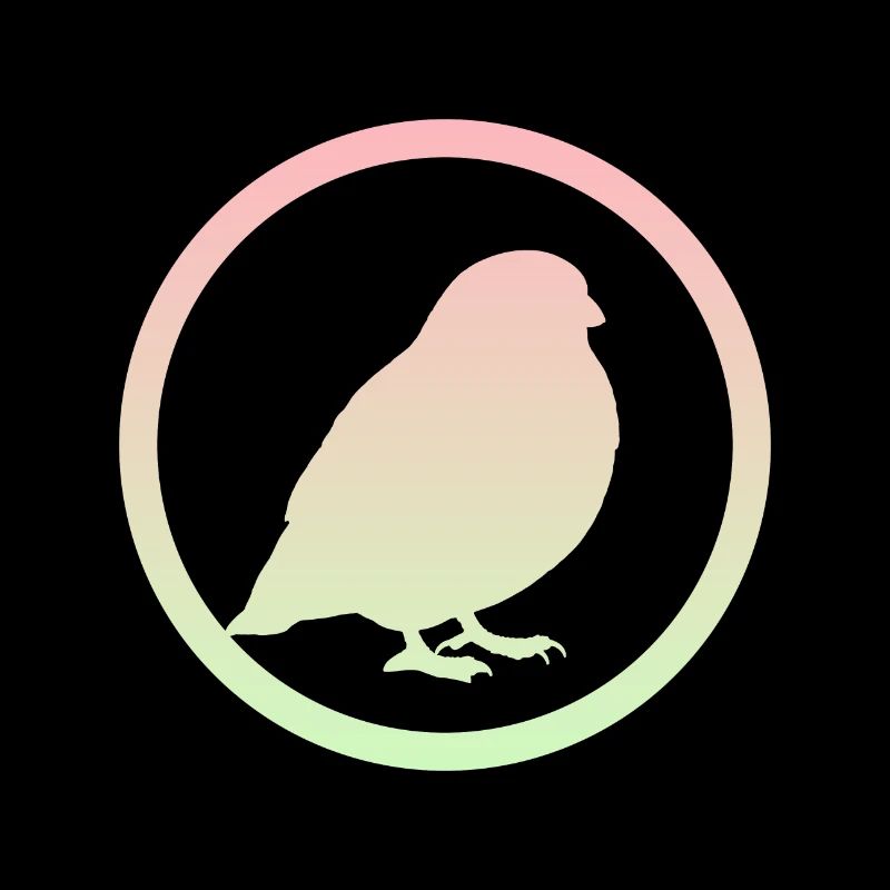 Oiseau, Oiseaux, Ailes