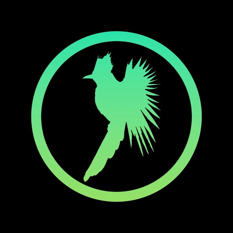 Oiseau Calopsitte Calopsitte Perruche