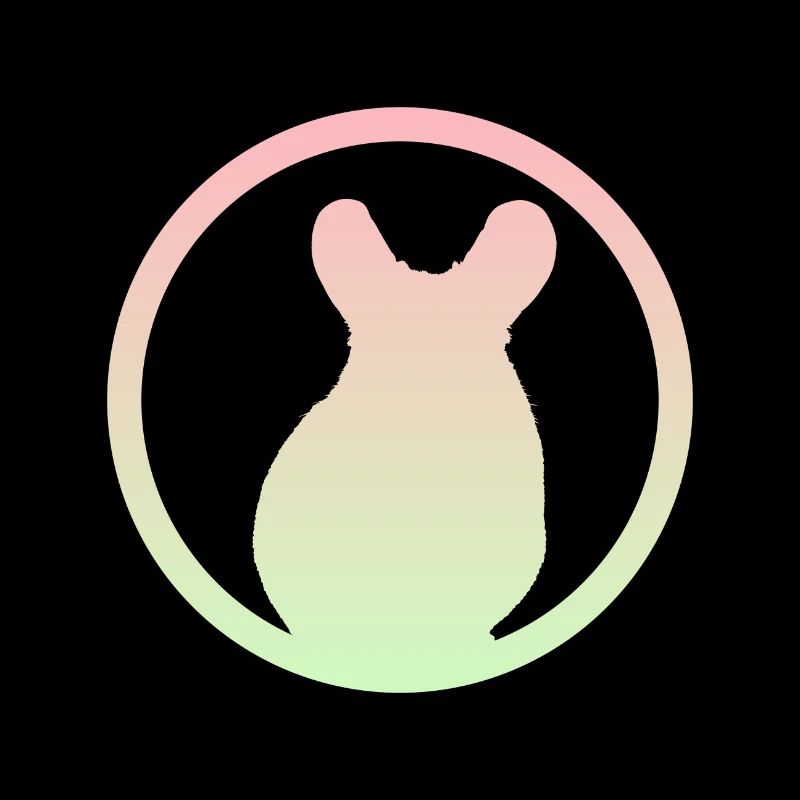 Rodent Chipmunk Chipmunk