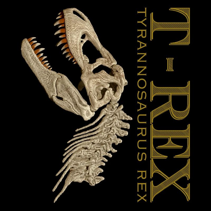 T-Rex Schädel bone