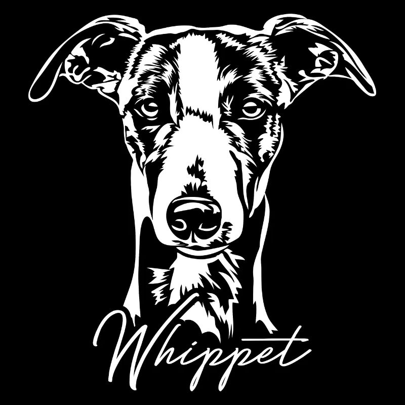 WHIPPET Greyhound Greyhound Chien Wilsigns