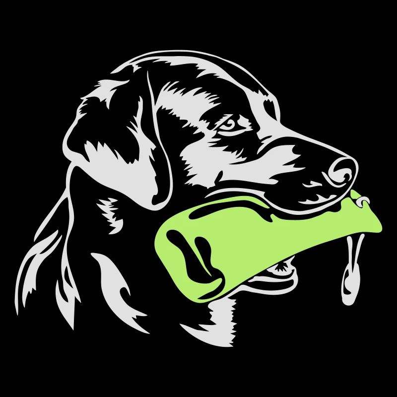 Labrador retrievers retrieve dummy wilsigns