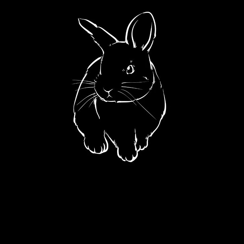 Bunny rabbit bunny white