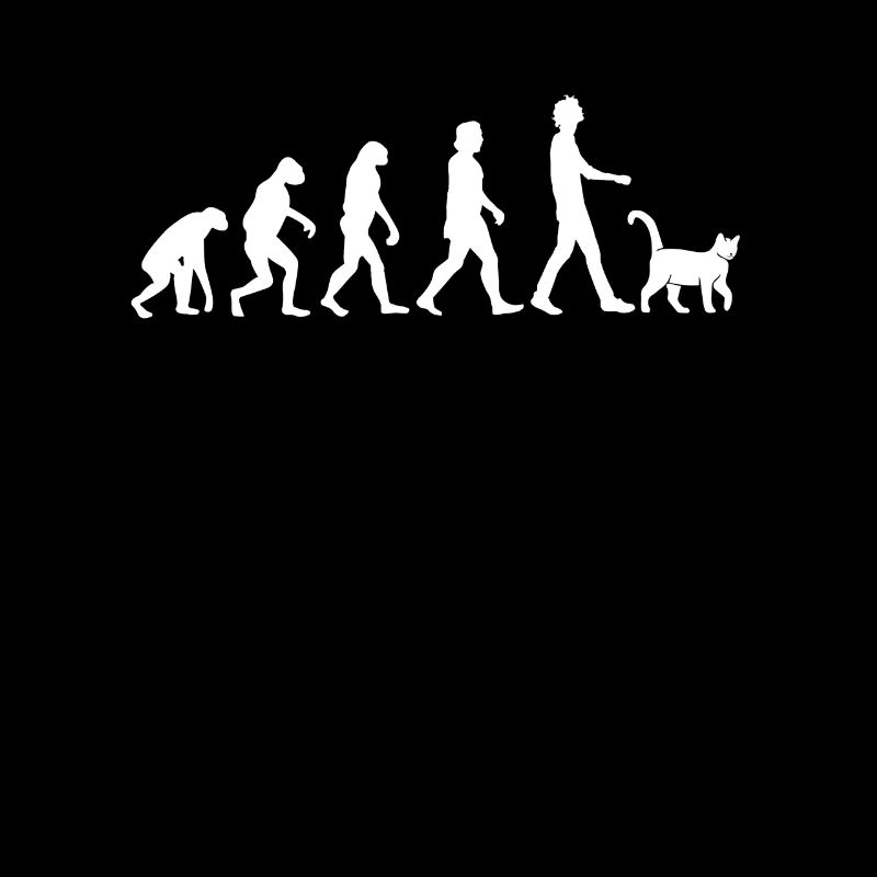 Evolution des chats