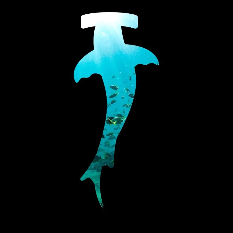 Hammerhead diving