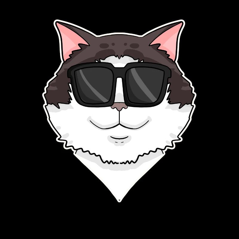 Ragdoll Cat
