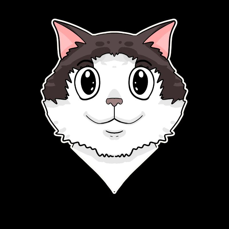 Ragdoll Cat