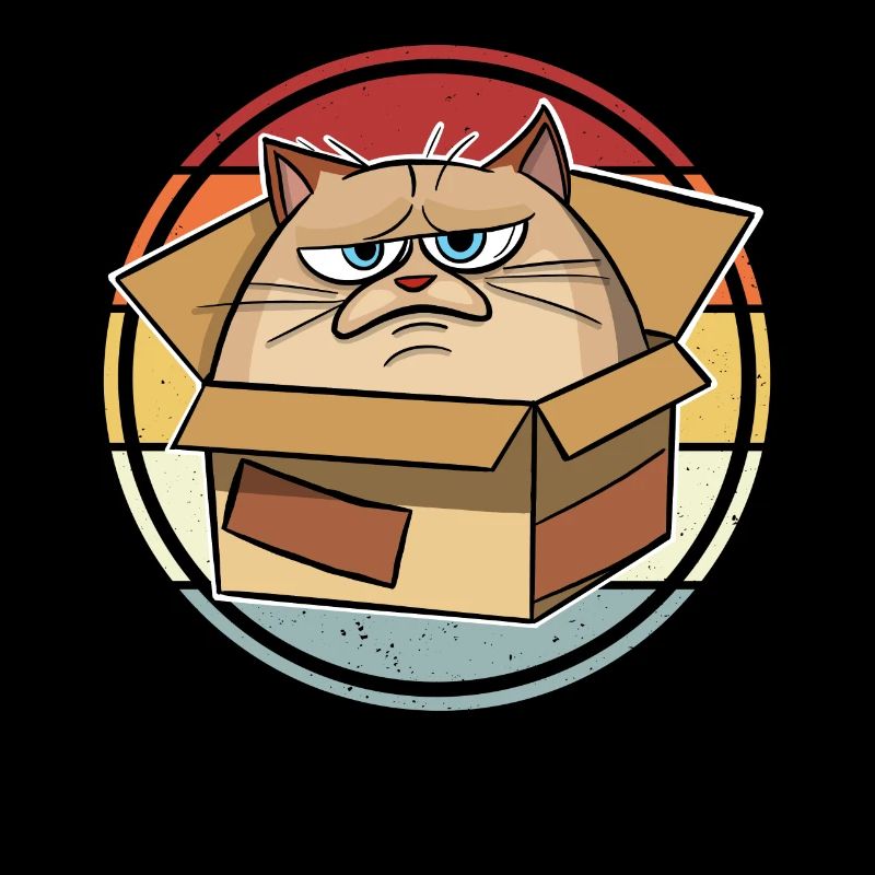 Chat dans une boîte