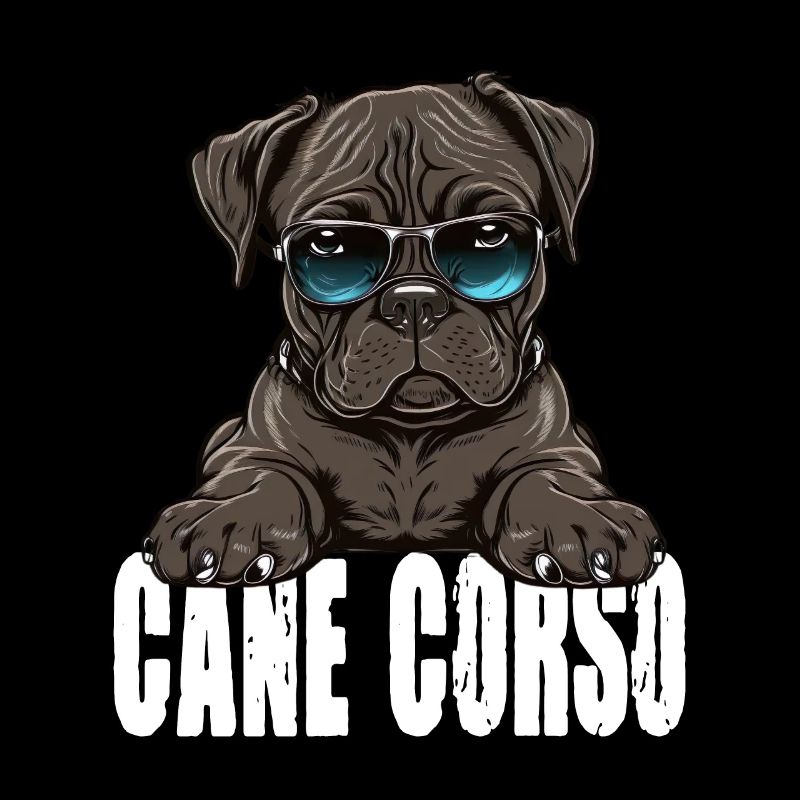Cane Corso Welpe für einen Cane Corso Besitzer