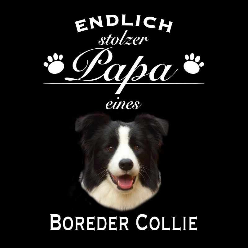 Endlich stolzer Papa - Border Collie